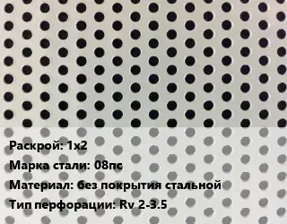 Лист перфорированный 1х2 Марка: 08пс без покрытия стальной Rv 2-3.5